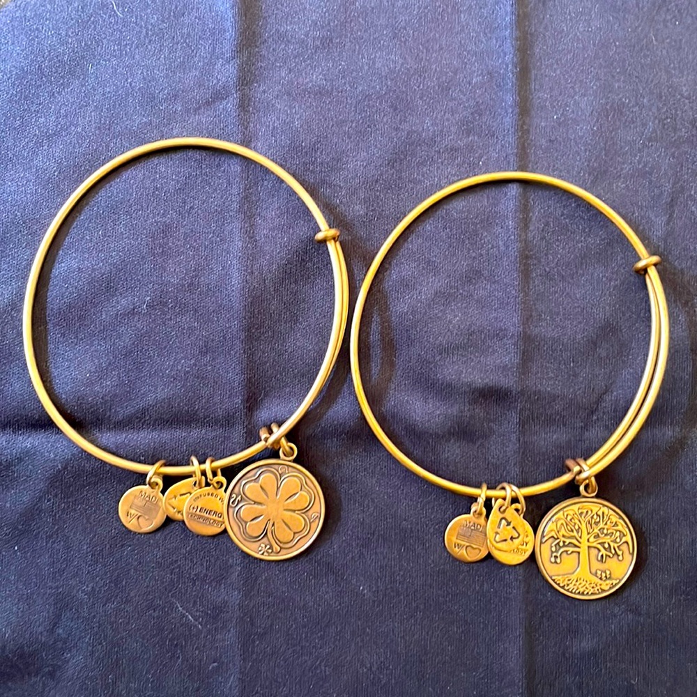 Pair of two Alex and Ani charmed bracelets